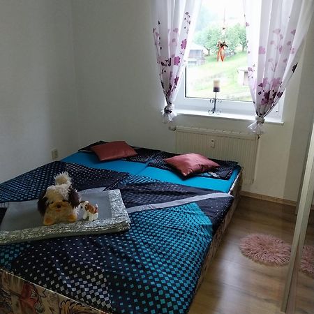 Ferienwohnung Einsiedel Chemnitz Luaran gambar